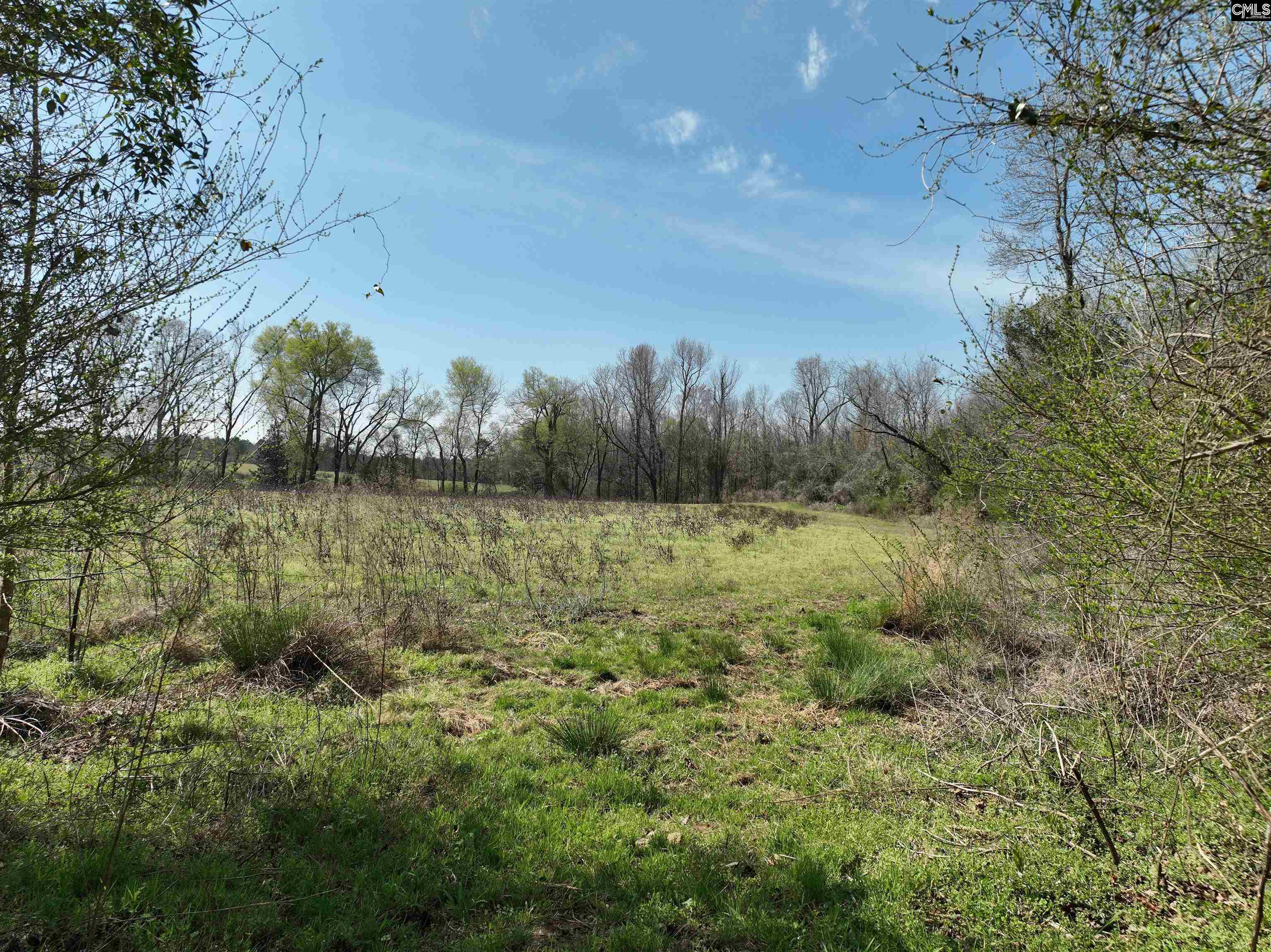 0 Dr Boylston Road Salley, SC 29137 - Photo 26 of 41