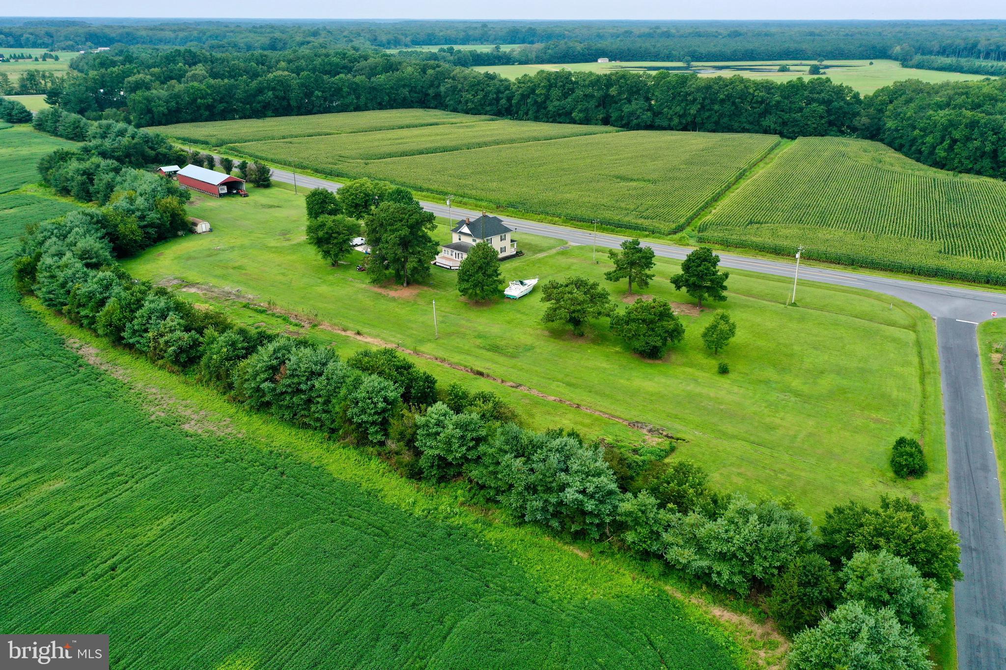 5679 Powellville Road Willards, MD 21874 - Photo 46 of 57 Gallery Image 46