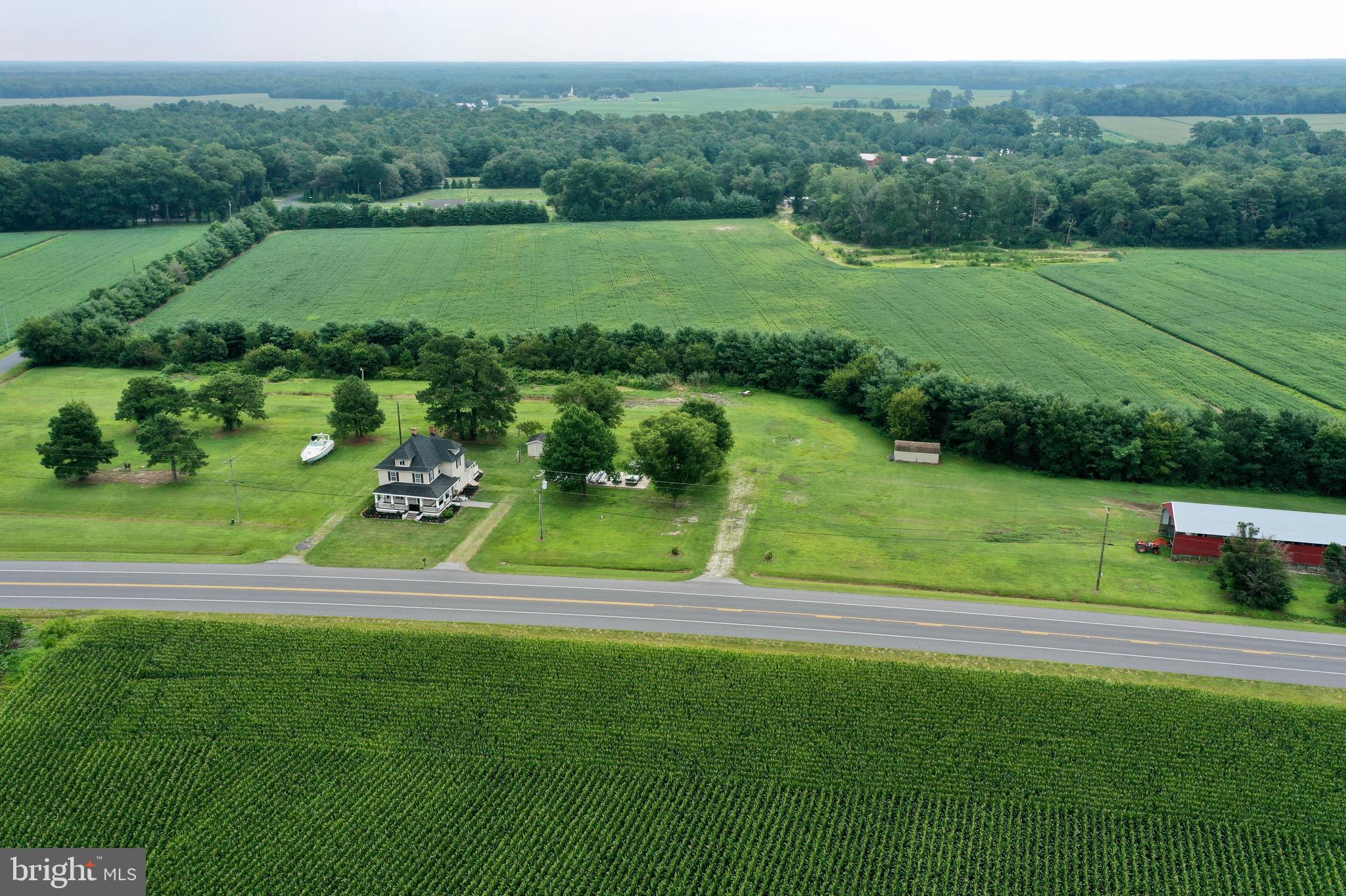 5679 Powellville Road Willards, MD 21874 - Photo 48 of 57 Gallery Image 48