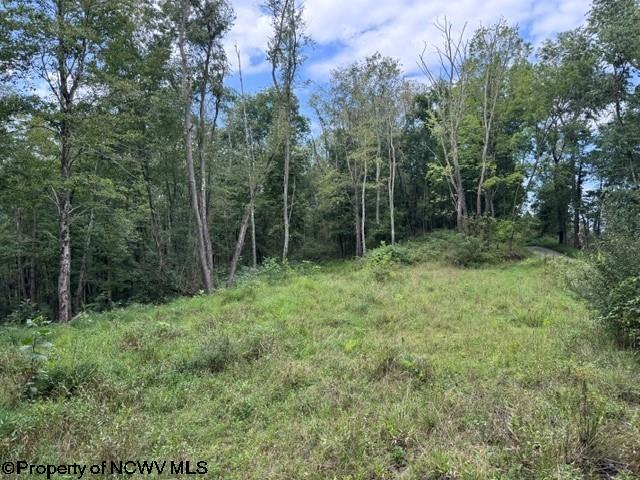 Tbd Massie Hollow Road Rivesville, WV 26588 - Photo 14 of 26 Gallery Image 14
