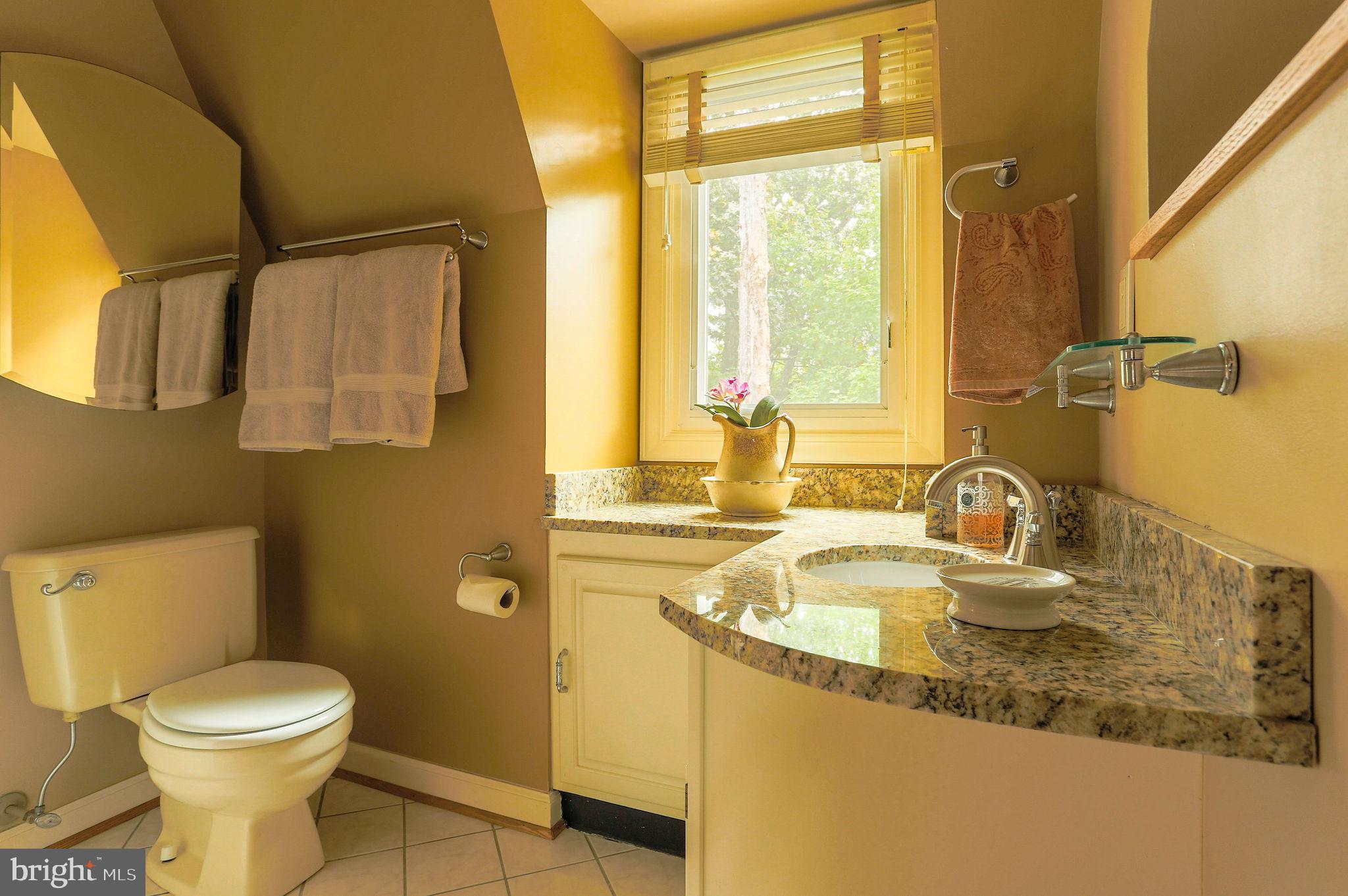 4904 Ridge Crest Court Frederick, MD 21702 - Photo 27 of 53 First Full Bath on Bedroom Level