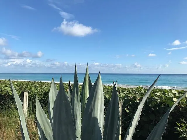 $725,000 | 1420 Ocean Way, Unit 29A, Jupiter, FL 33477