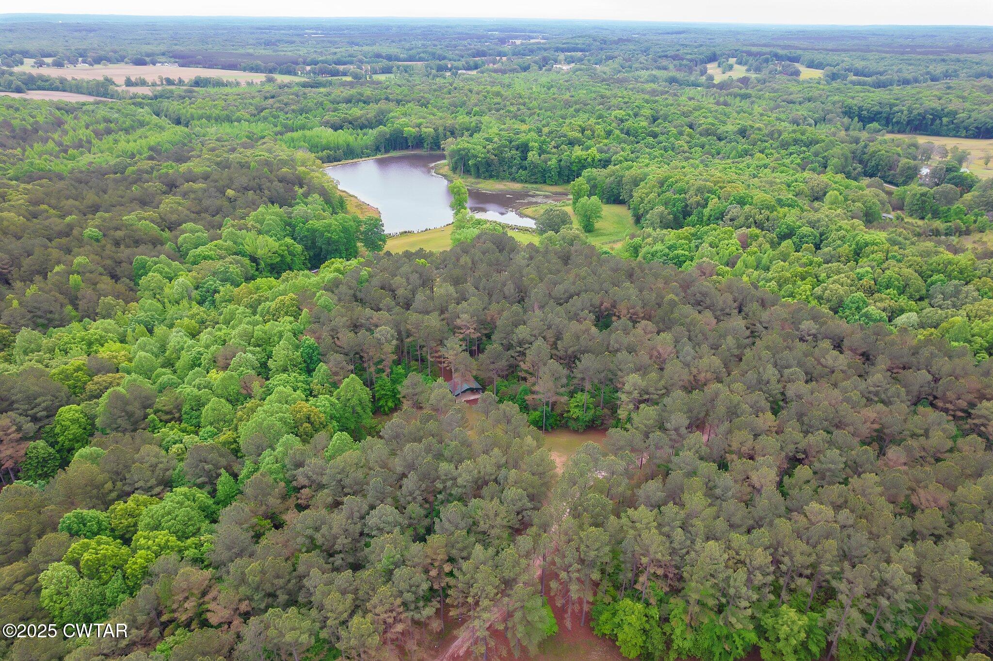 1620 Dry Creek Road Pinson, TN 38366 - Photo 34 of 51 an aerial view of green landscape with trees houses and mountain view