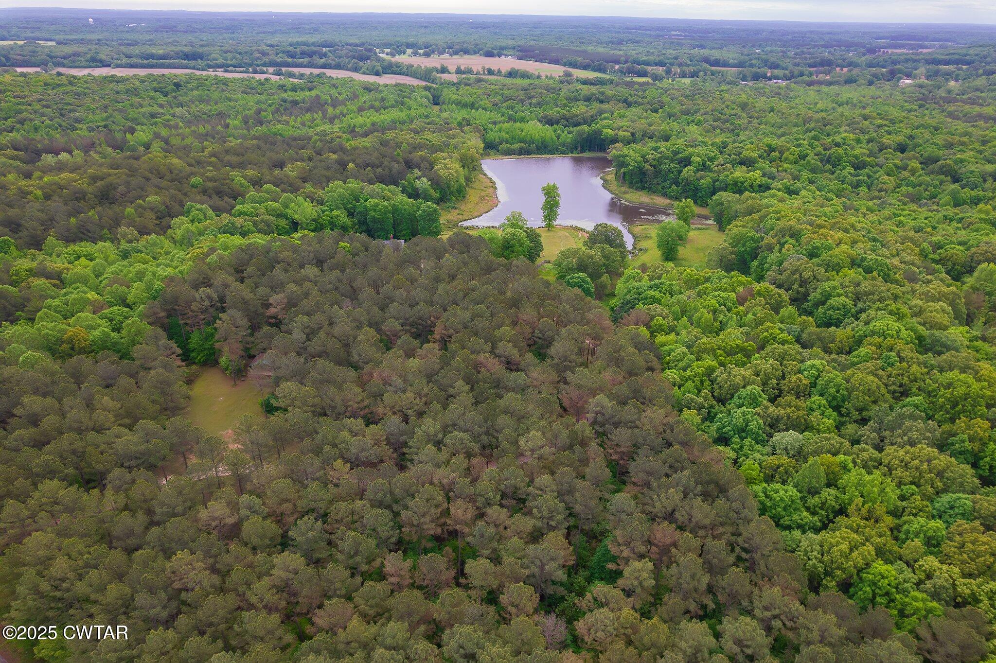 1620 Dry Creek Road Pinson, TN 38366 - Photo 36 of 51 a view of a lush green field with a house in the background