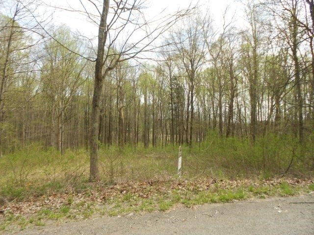0 Cathedral Road Spencer, IN 47460 - Photo 1 of 1