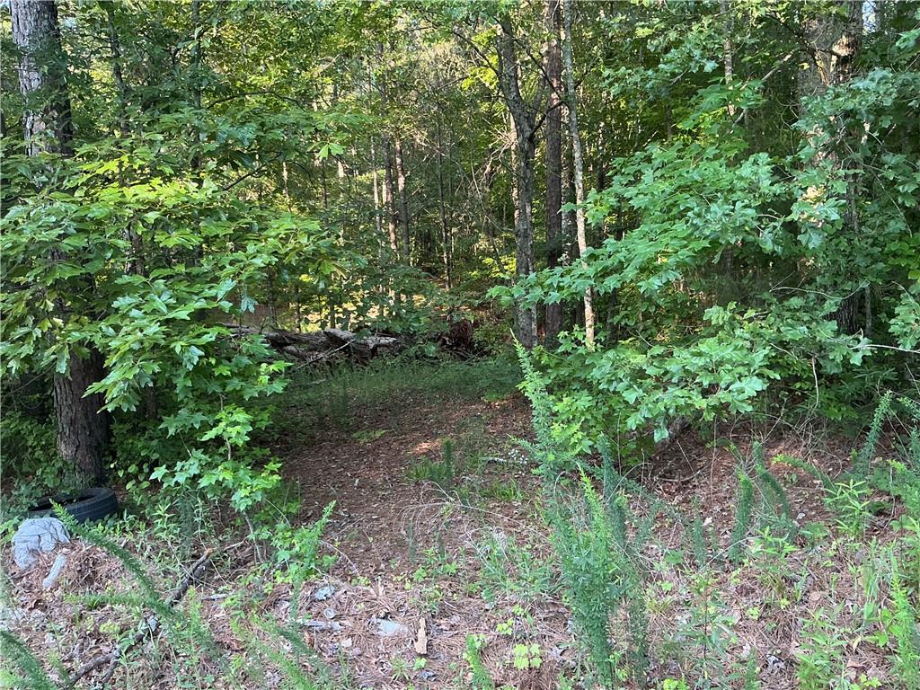 703 Central High Road Carrollton, GA 30116 - Photo 11 of 27