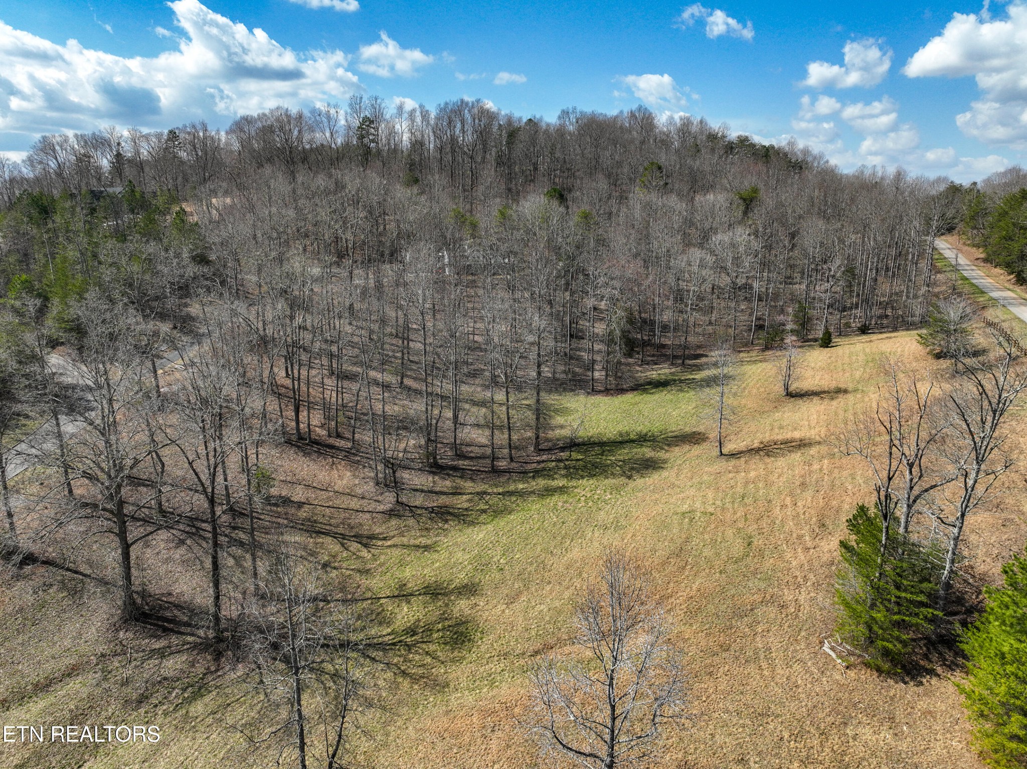 0 Springwater Run Madisonville, TN 37354 - Photo 17 of 20 a view of a yard with mountains in the background