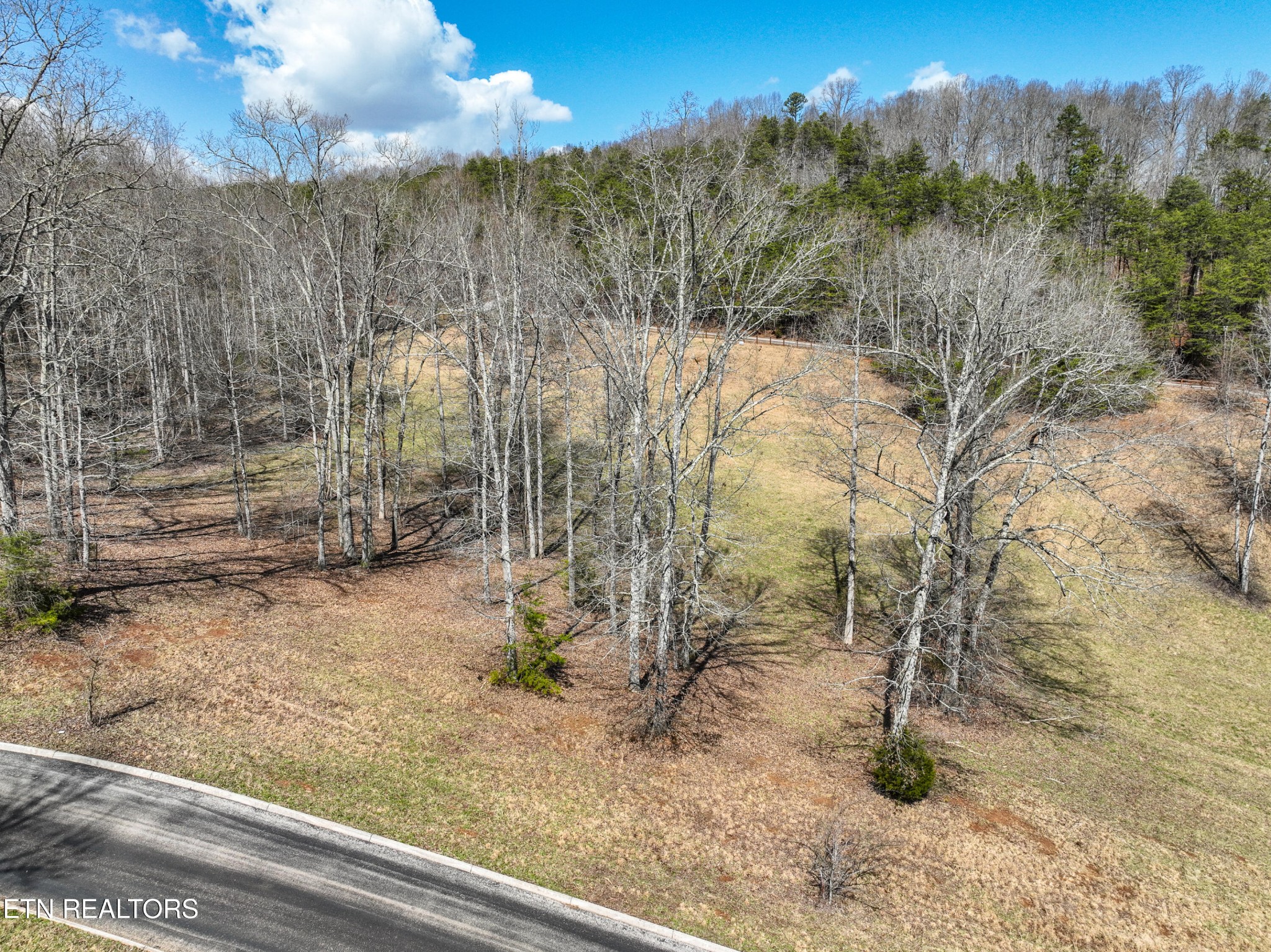 0 Springwater Run Madisonville, TN 37354 - Photo 5 of 20 a view of a yard with trees