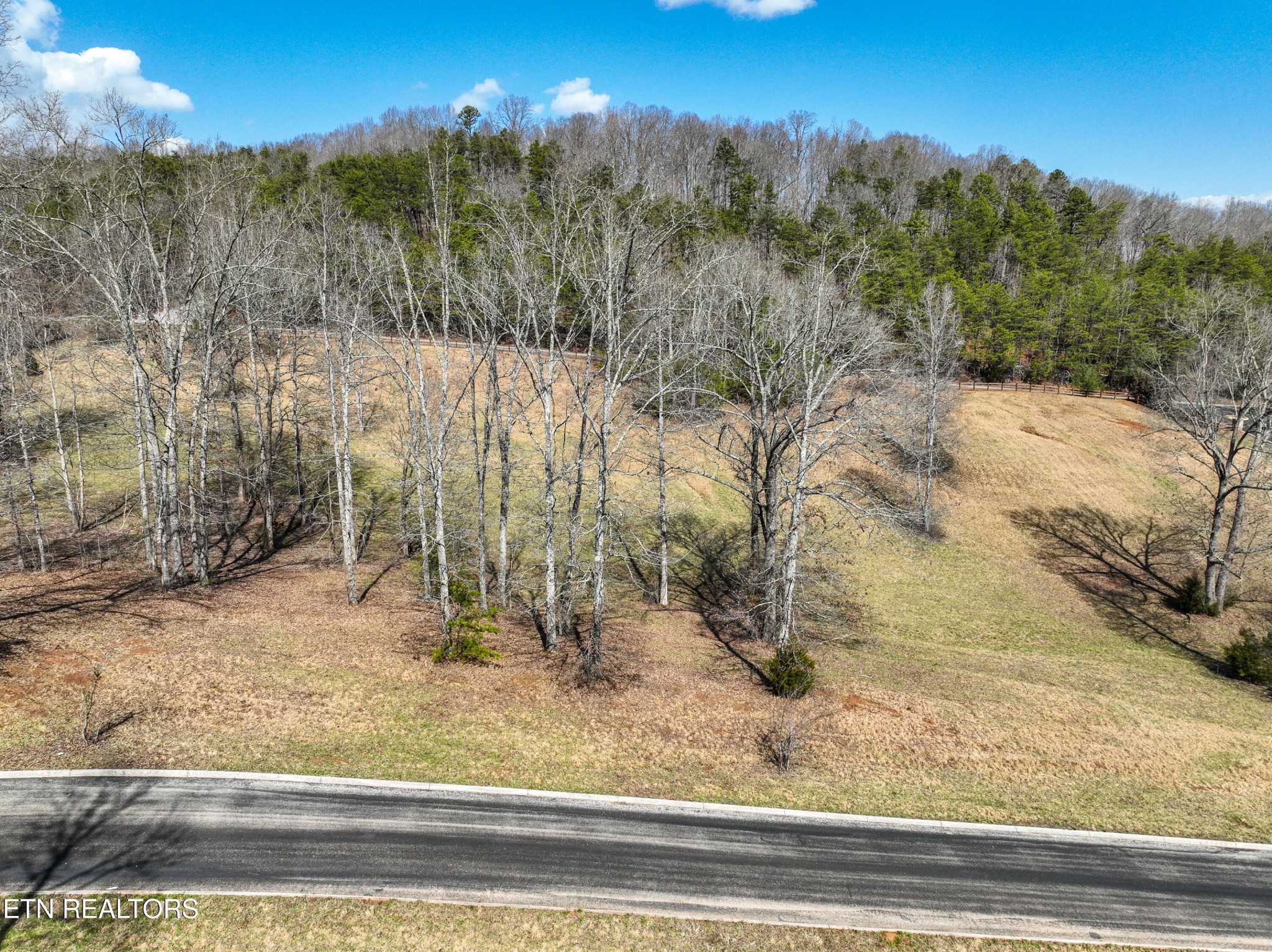 0 Springwater Run Madisonville, TN 37354 - Photo 6 of 20 a view of a yard with mountain view