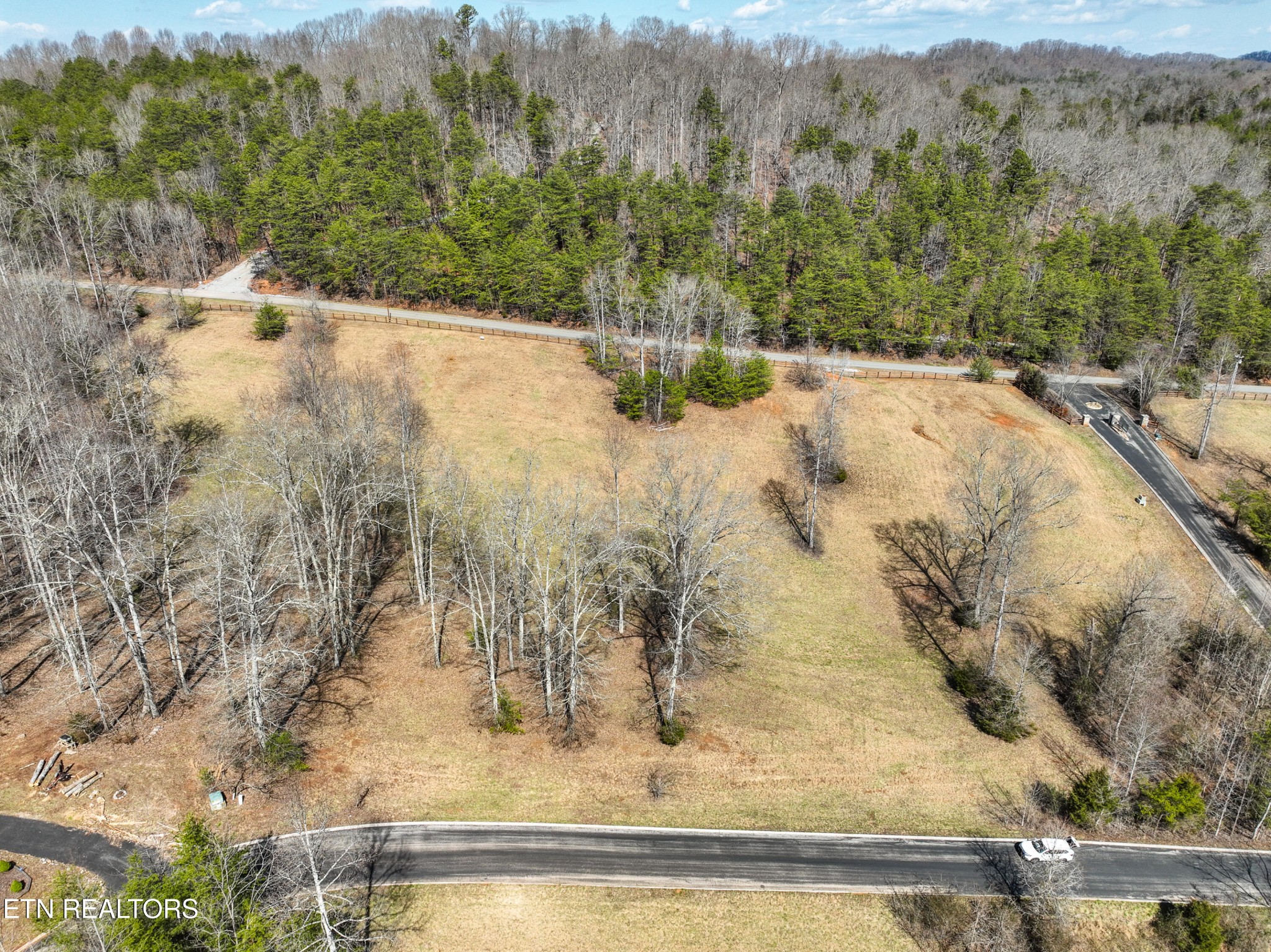 0 Springwater Run Madisonville, TN 37354 - Photo 7 of 20 a view of a yard with large trees