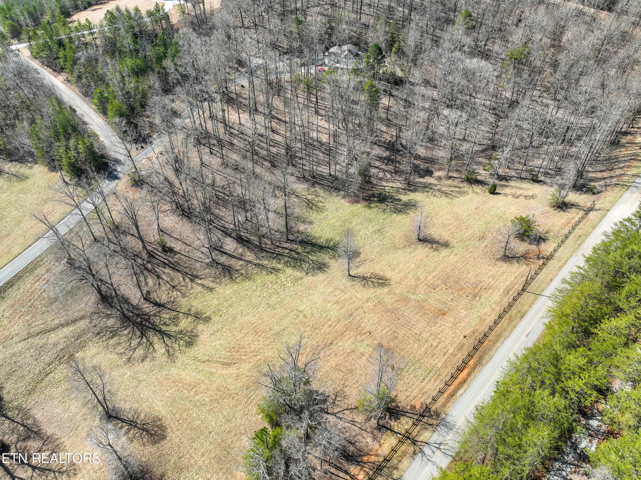 0 Springwater Run Madisonville, TN 37354 - Photo 10 of 20 a view of a yard with trees