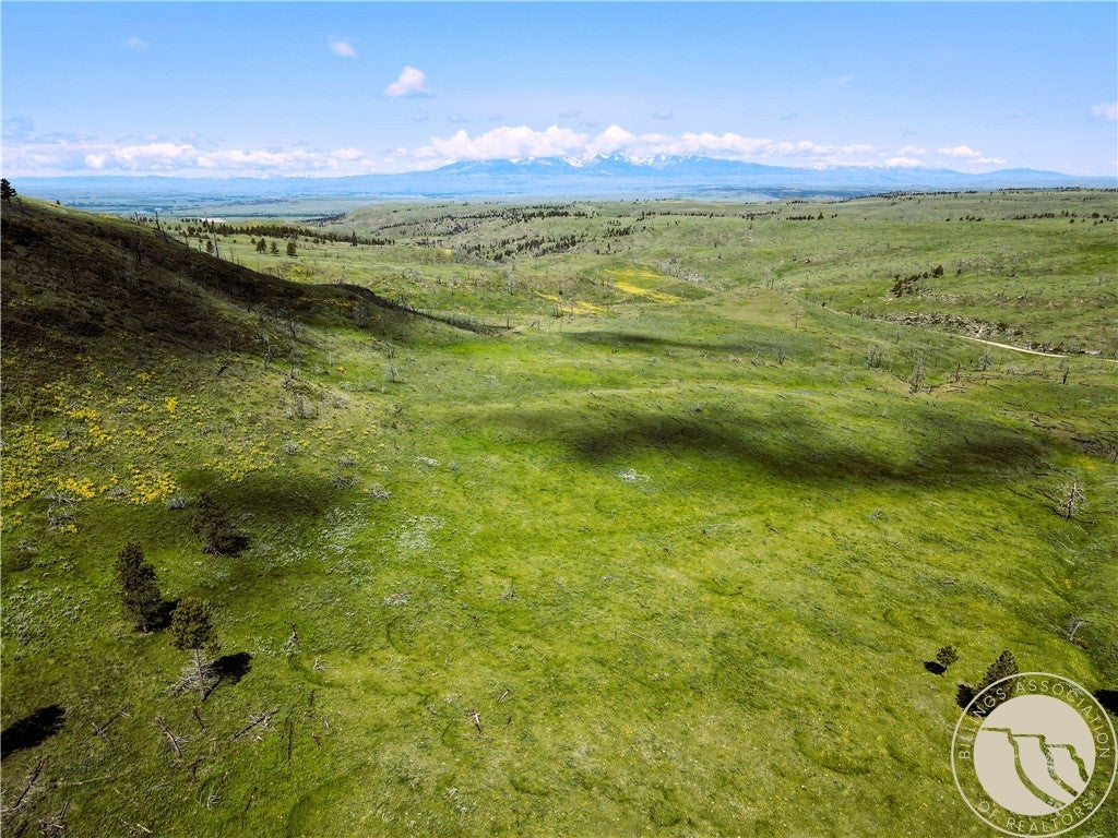 Tbd Tbd Deadmans Canyon Road Big Timber, MT 59011 - Photo 4 of 10 Gallery Image 4