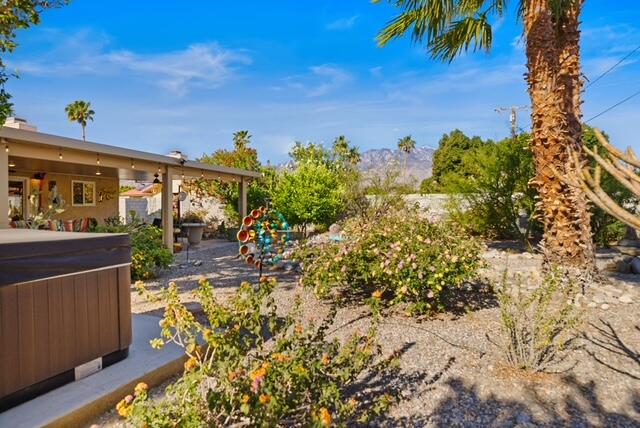 68110 Risueno Road Cathedral City, CA 92234 - Photo 19 of 33 a view of a yard with plants
