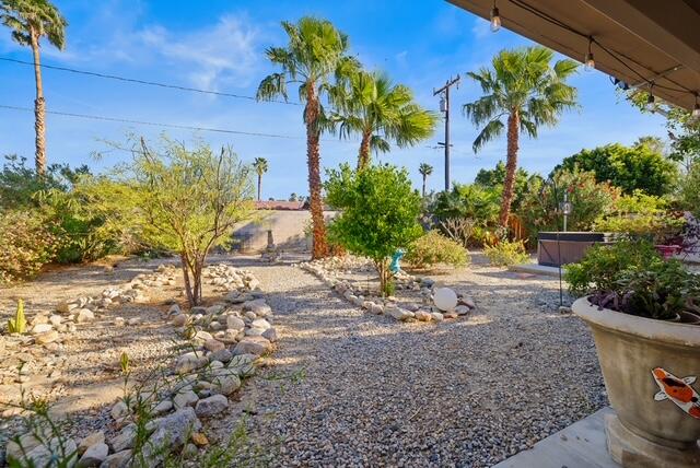 68110 Risueno Road Cathedral City, CA 92234 - Photo 20 of 33 a view of a yard with plants and trees