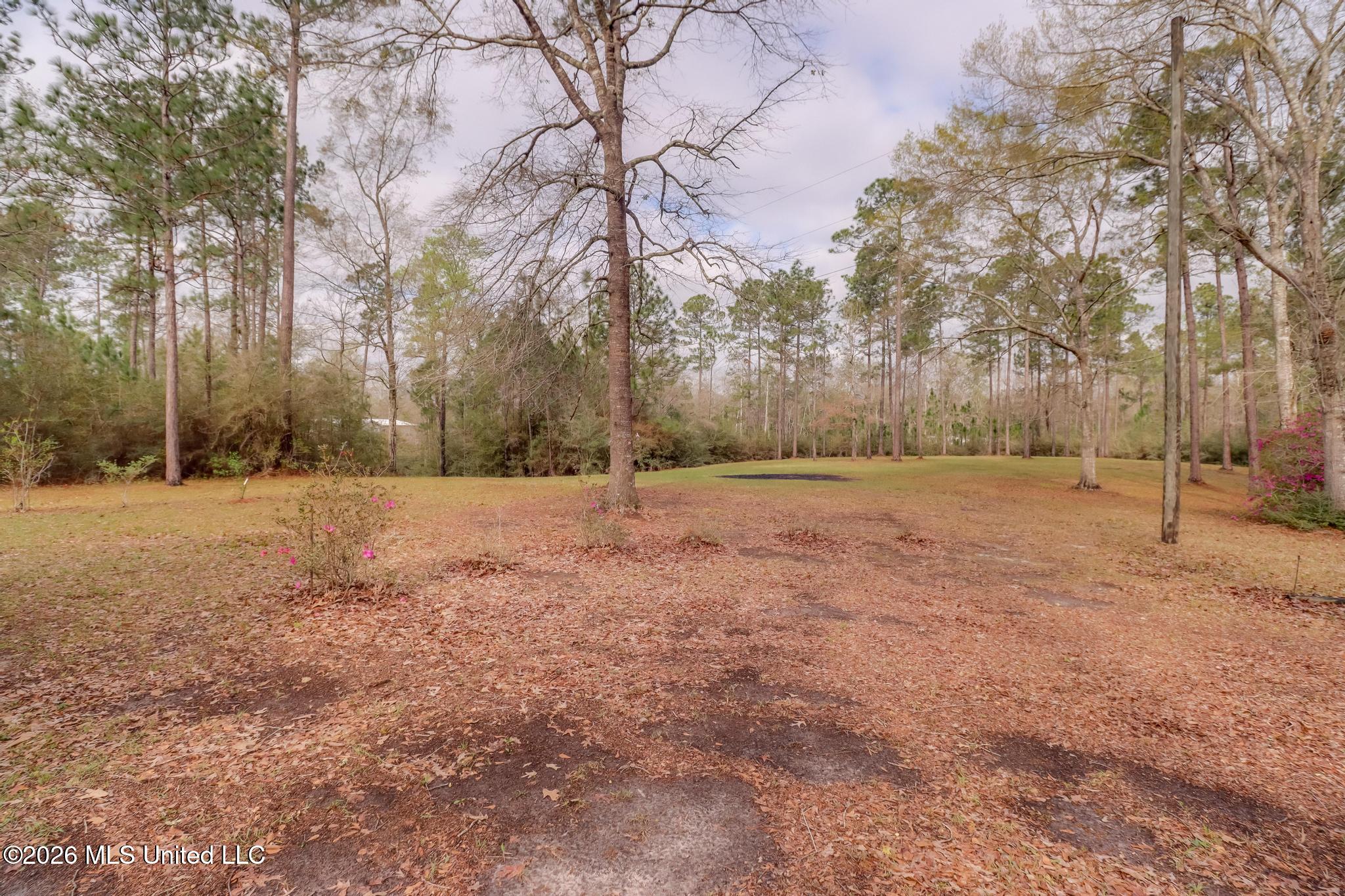 65 Gartman Road Perkinston, MS 39573 - Photo 51 of 53 Photo Mar 12 2026, 10 07 30 AM (2)