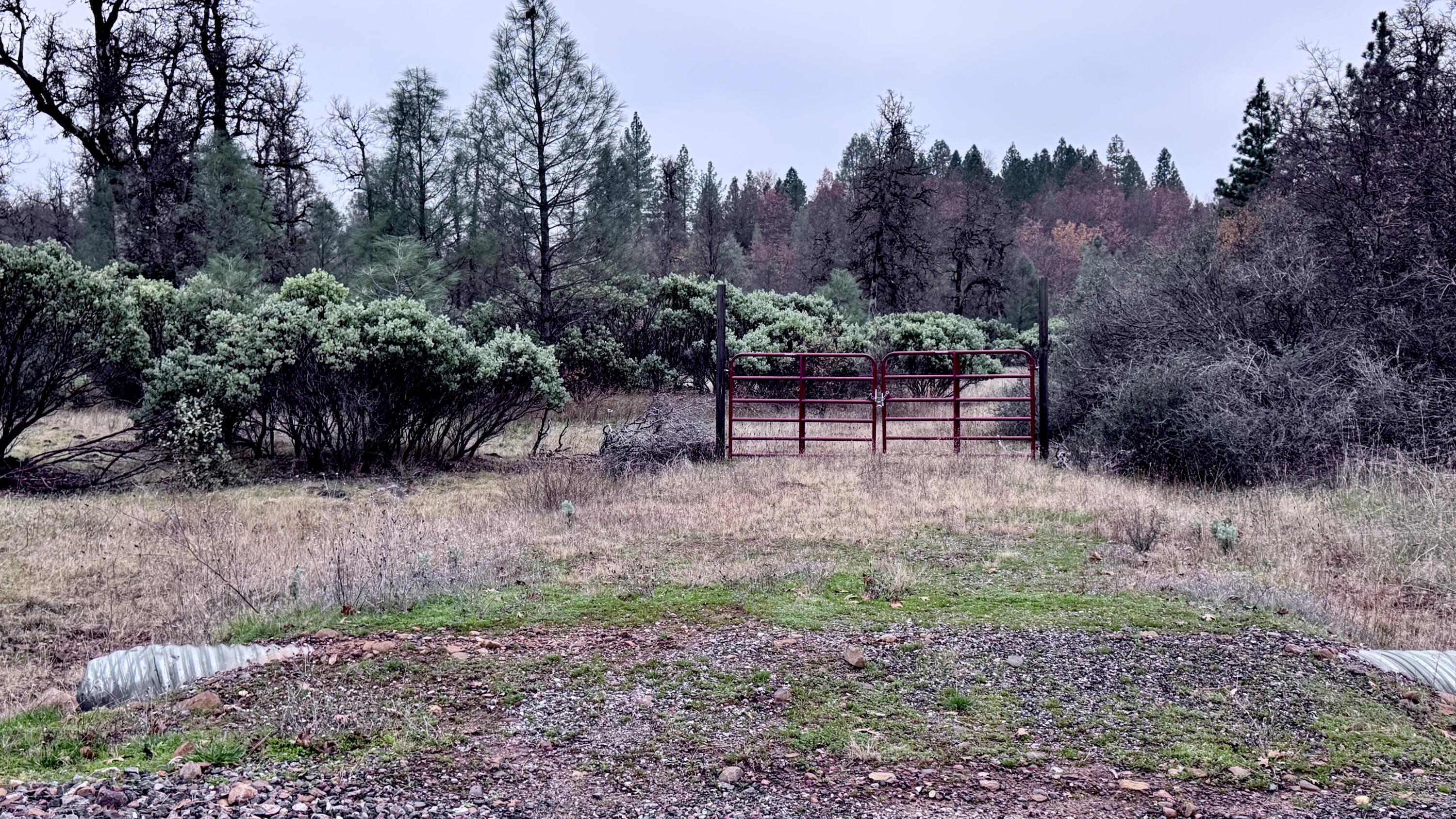 15.77 Acres Dittman Road Montgomery Creek, CA 96065 - Photo 2 of 26 FullSizeRender