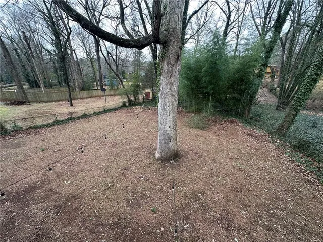 a view of a forest with trees