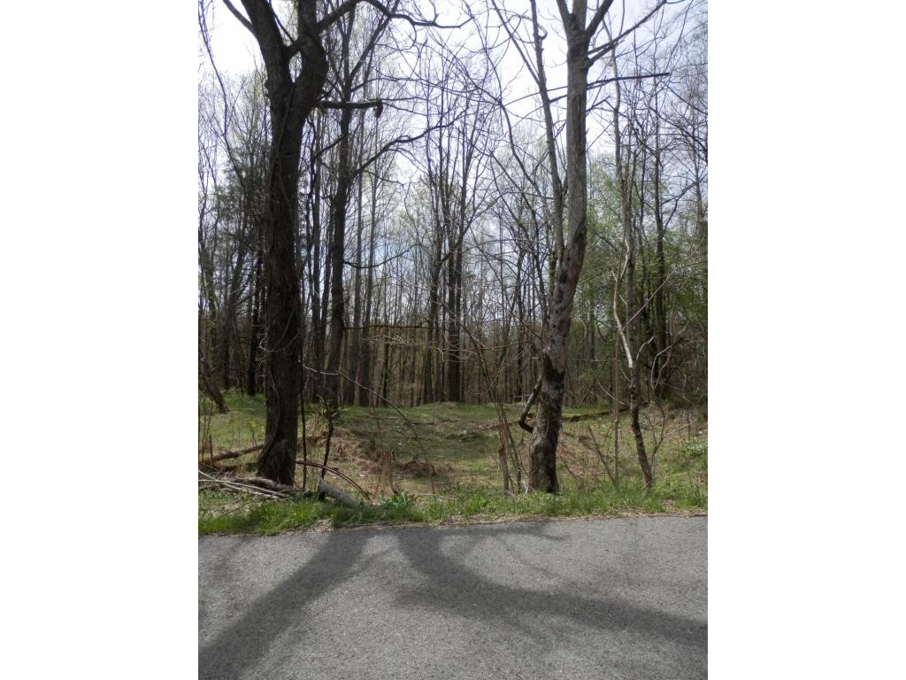 0 Hinkle Road, Unit 37 Pennington Gap, VA 24277 - Photo 3 of 6 Photo 3