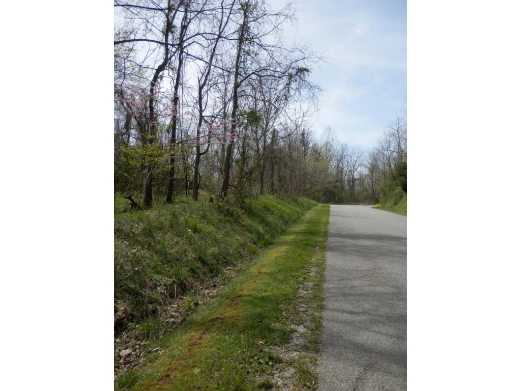 0 Hinkle Road, Unit 37 Pennington Gap, VA 24277 - Photo 4 of 6 Photo 4