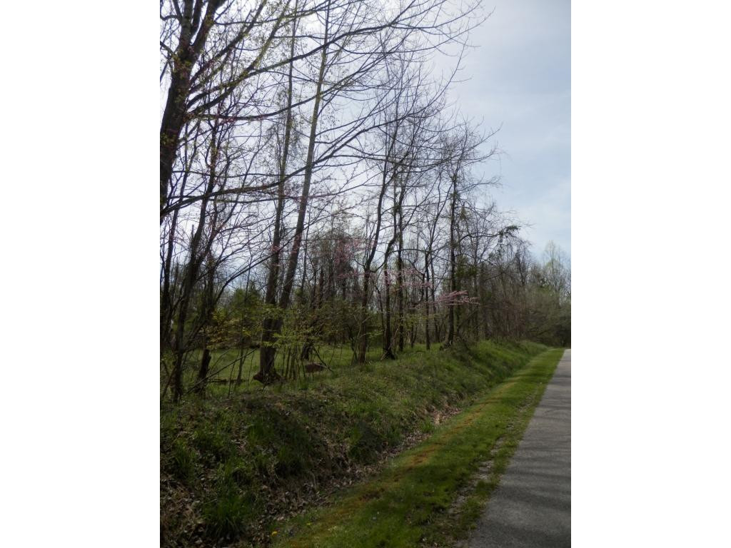 0 Hinkle Road, Unit 37 Pennington Gap, VA 24277 - Photo 5 of 6 Photo 5