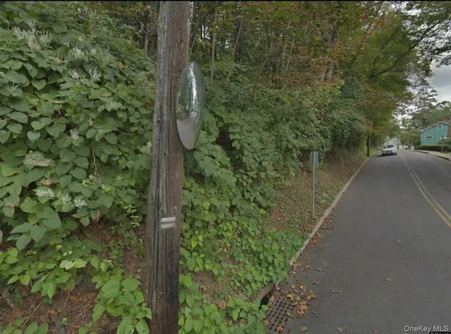 a view of a pathway both side of a house