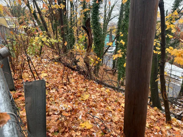 outdoor view of a yard