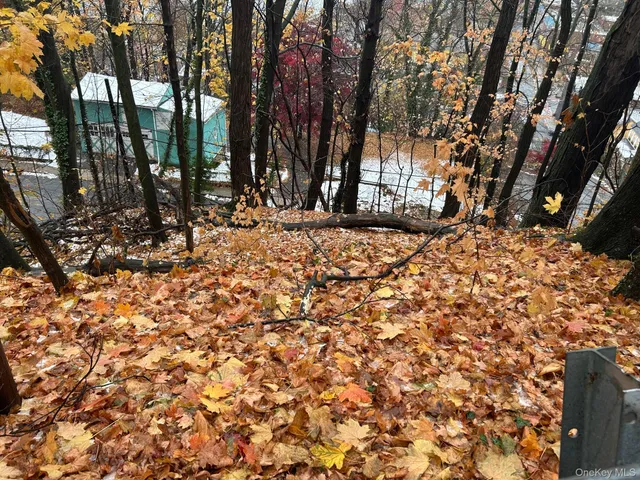 a view of large tree