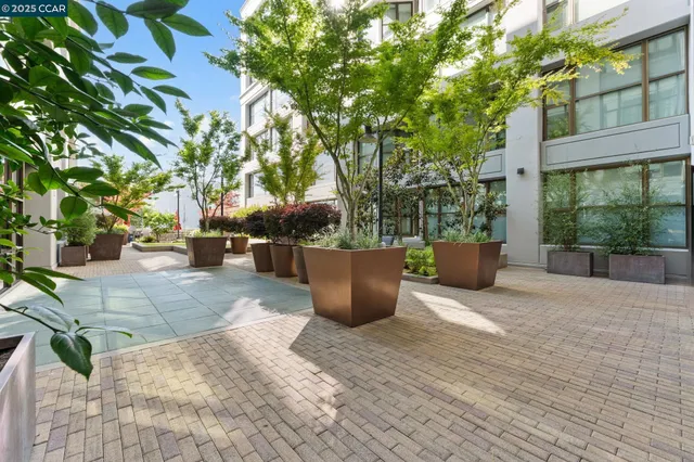 a view of a patio with table and chairs potted plants and large tree