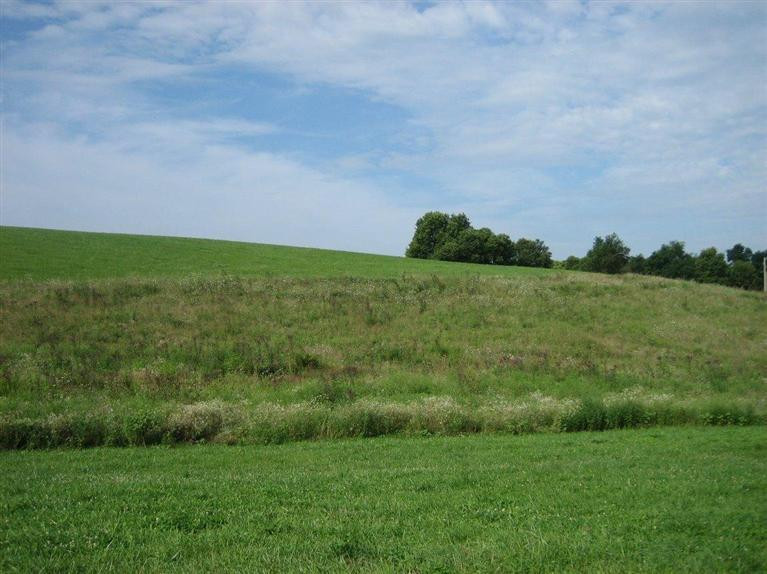 202 Oldson Road Paris, KY 40361 - Photo 11 of 11 Photo 11