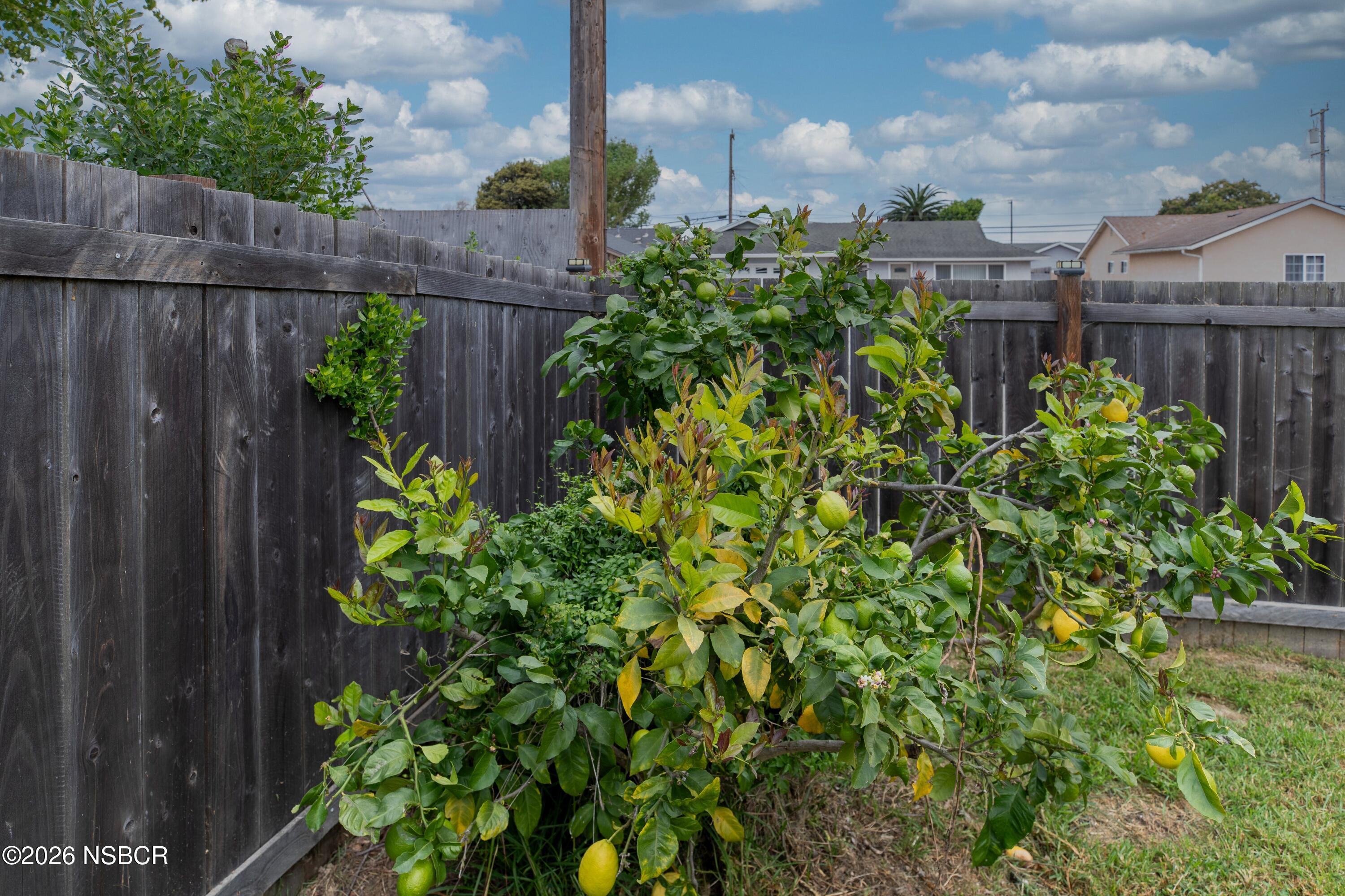 901 Alden Avenue Lompoc, CA 93436 - Photo 34 of 42 a view of a garden with plants