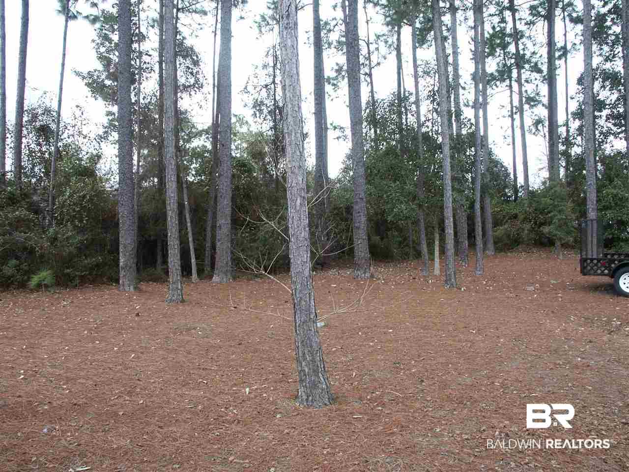 1991 Ridgewood Drive Lillian, AL 36549 - Photo 1 of 6 Lot 1991