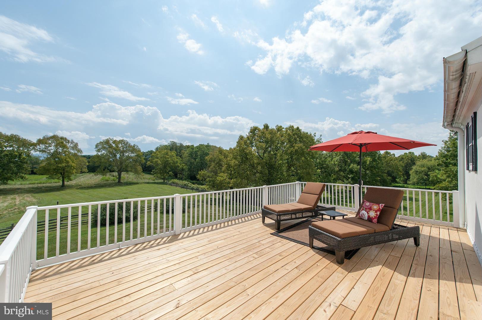 1837 Bordens Spring Road White Post, VA 22663 - Photo 19 of 30 Private Master Bedroom Balcony