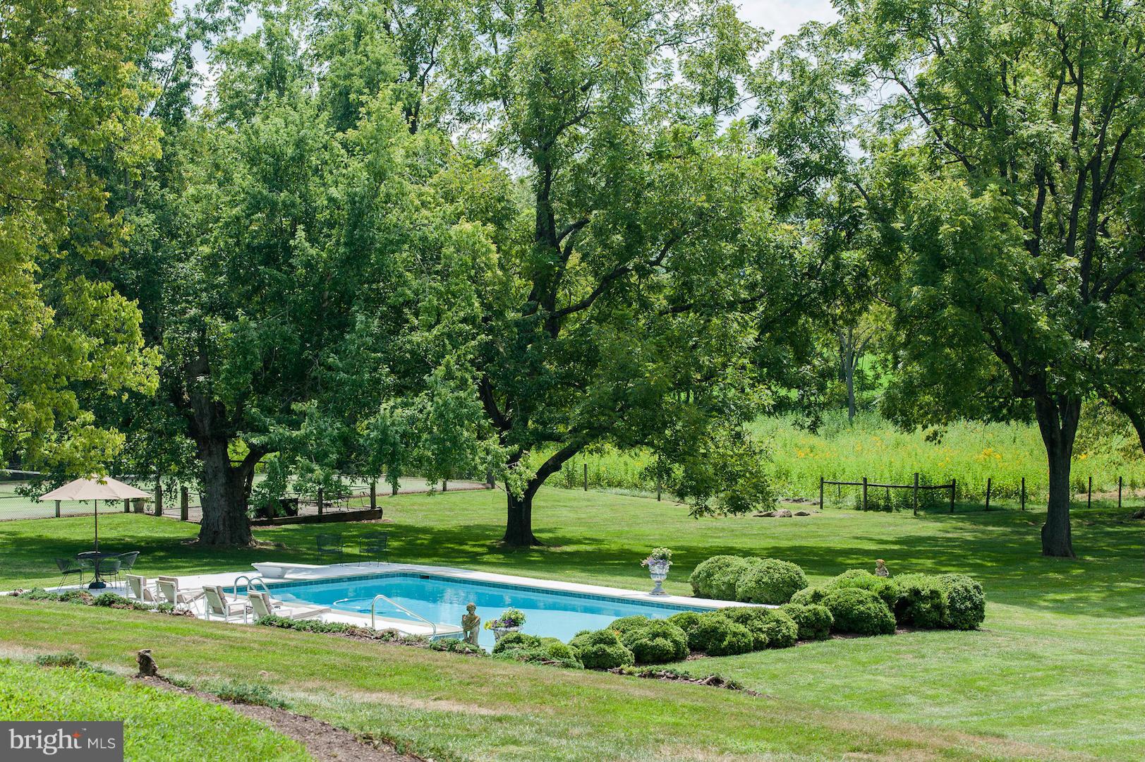 1837 Bordens Spring Road White Post, VA 22663 - Photo 26 of 30 Idyllic Swimming Pool