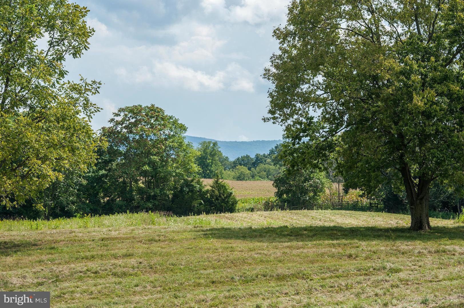 1837 Bordens Spring Road White Post, VA 22663 - Photo 30 of 30 Serene Views of the Blue Ridge Mountains