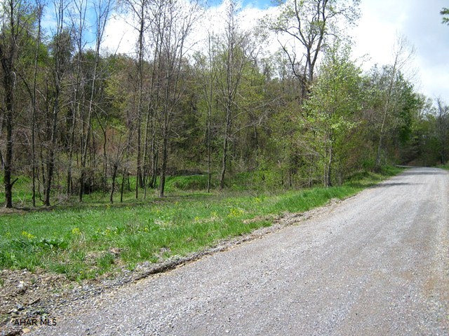 Lot #2 Dark Hollow Road Alum Bank, PA 15521 - Photo 1 of 9 Gallery Image 1