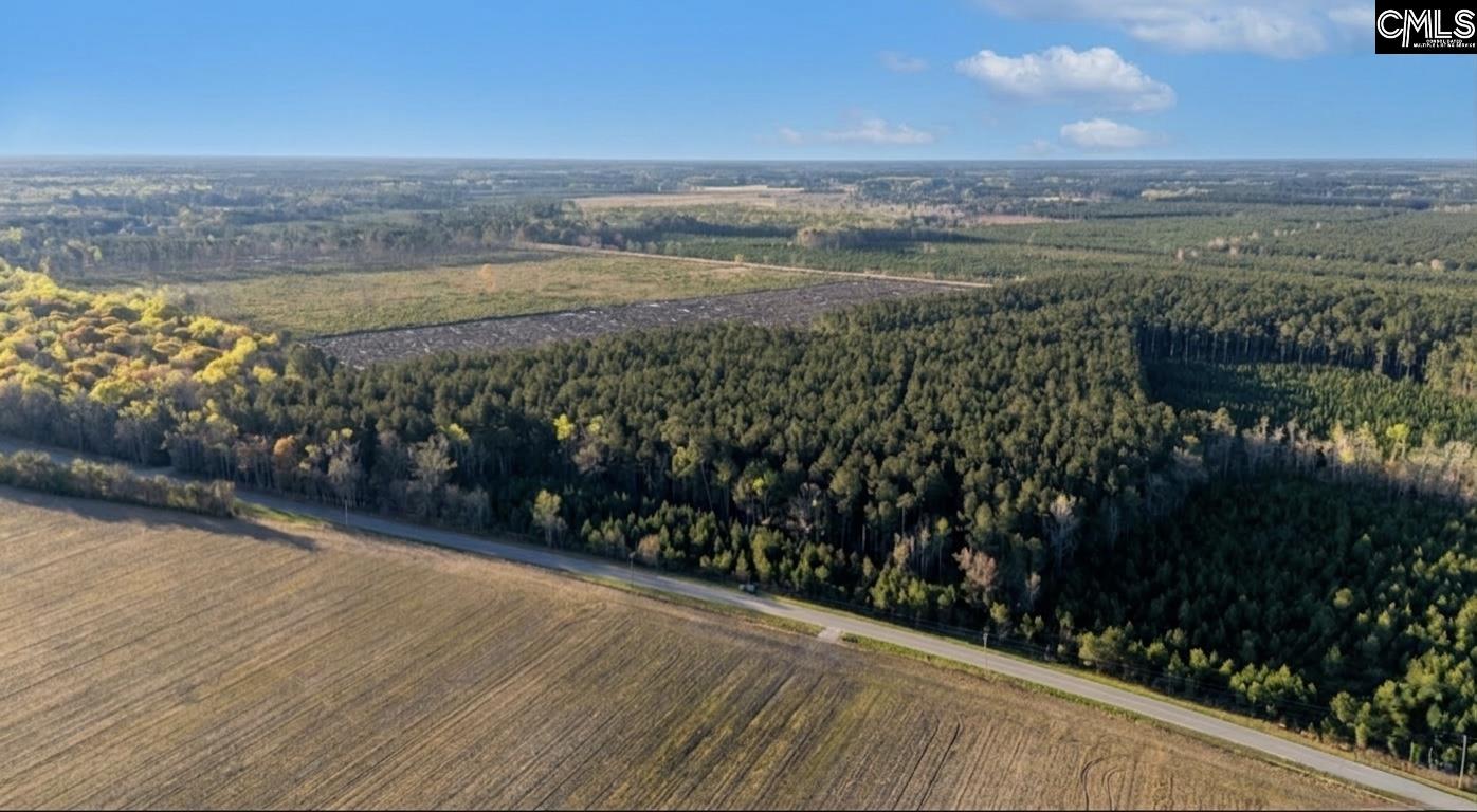 Tbd Bay Road Rowesville, SC 29133 - Photo 2 of 3