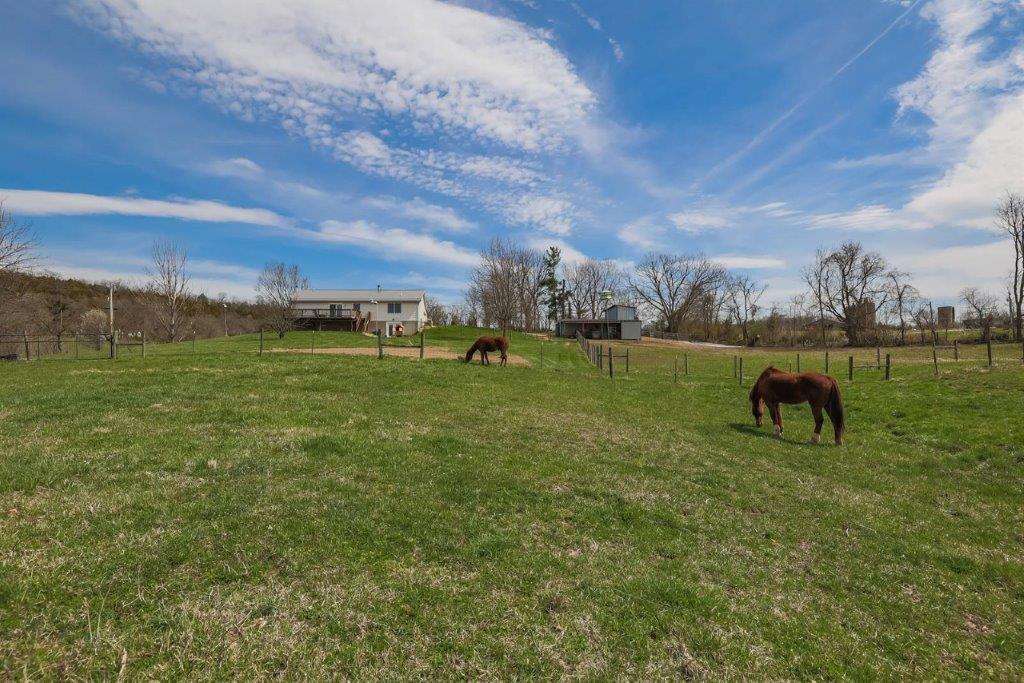 4231 Ky Highway Butler, KY 41006 - Photo 31 of 48 Gallery Image 31