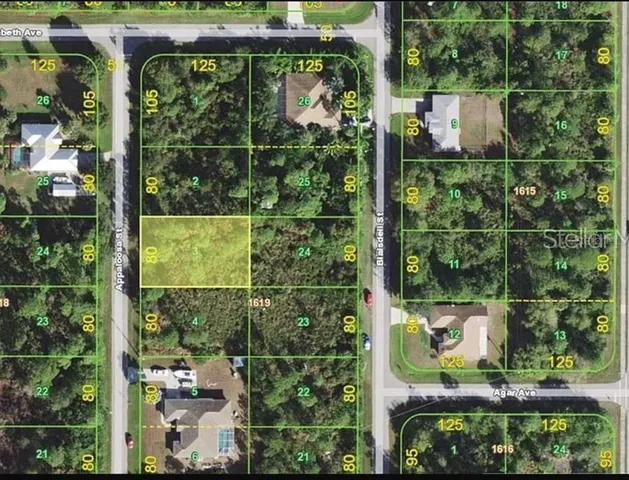 an outdoor view of a garden