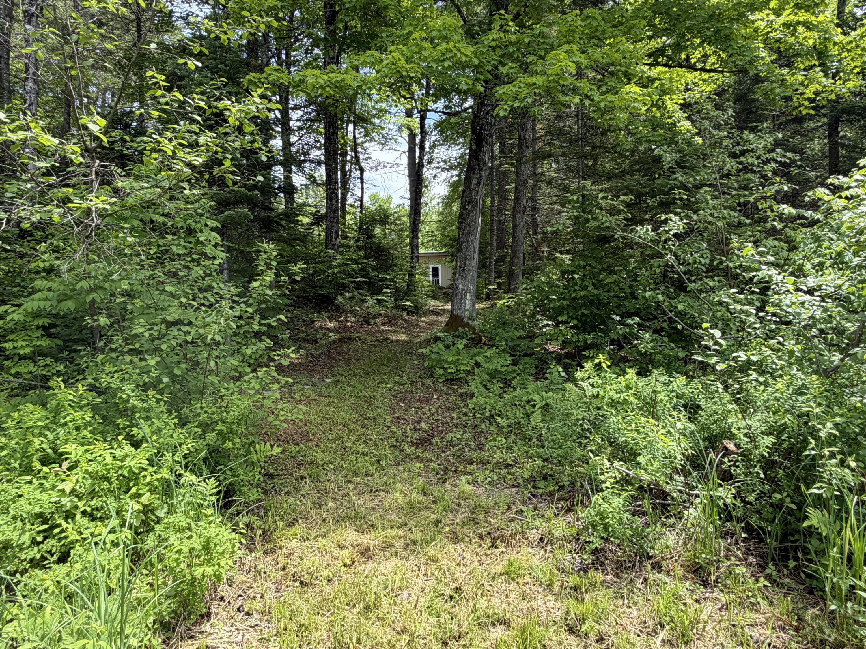 194 Meadow Road Hudson, ME 04449 - Photo 17 of 21 17