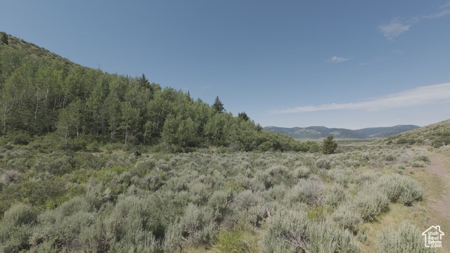 10 Stauffer Canyon Road Montpelier, ID 83254 - Photo 12 of 50 Mountain view