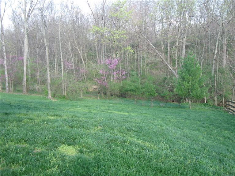 10383 Calvary Road Independence, KY 41051 - Photo 21 of 22 Gallery Image 21