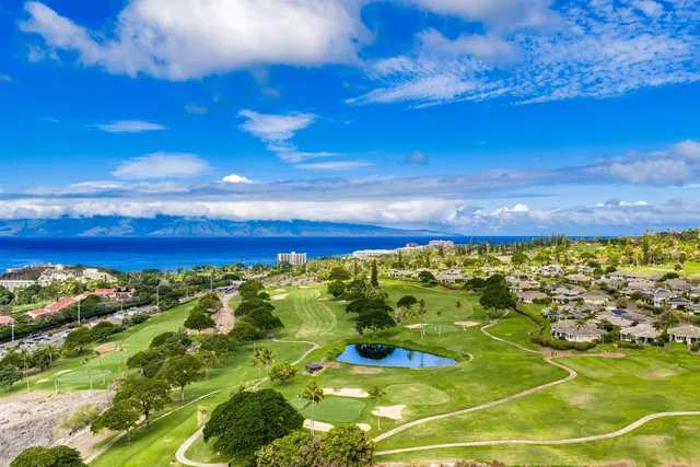 a aerial view of a house with a garden and plants