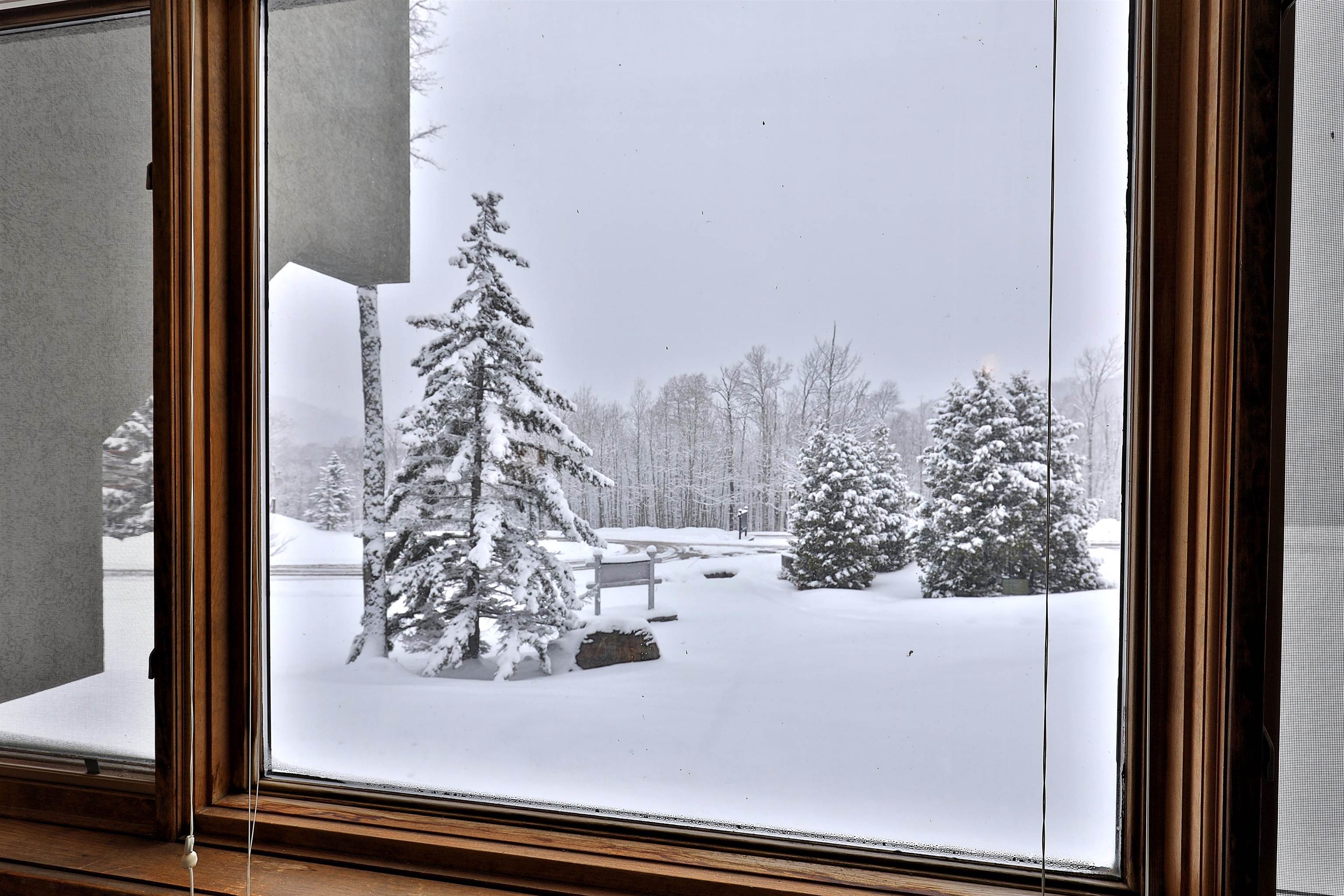 281 Falls Brook Road, Unit CAMBRIDGE 103 Killington, VT 05751 - Photo 23 of 25 Gallery Image 23