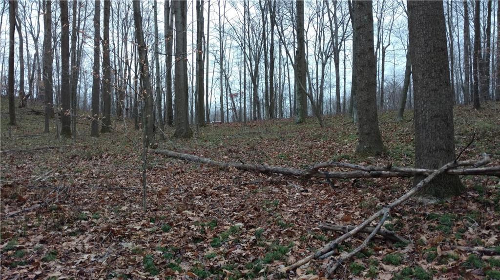 0 Firetower Road Ligonier, PA 15658 - Photo 11 of 12 Gallery Image 11