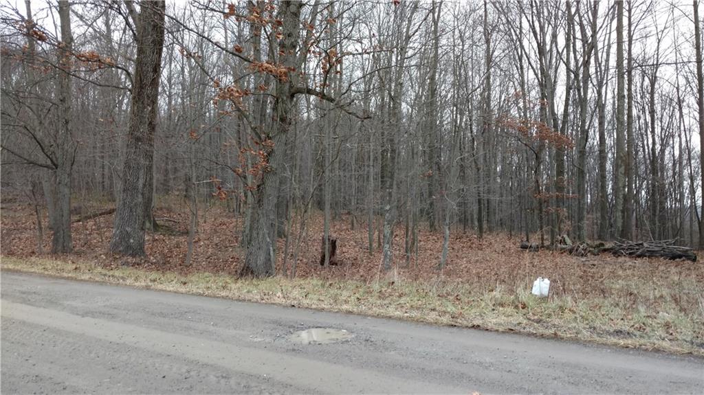 0 Firetower Road Ligonier, PA 15658 - Photo 3 of 12 Gallery Image 3