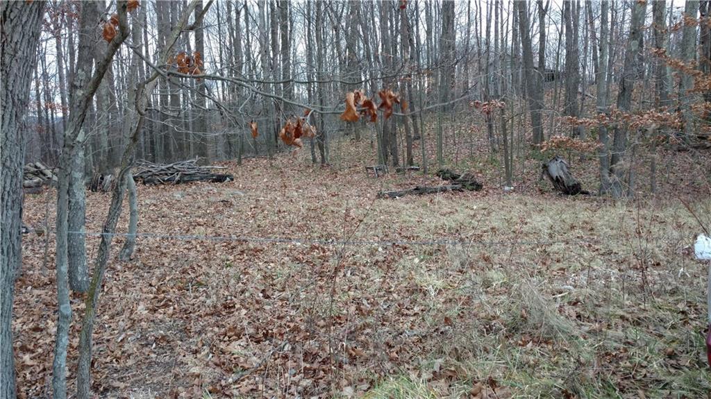 0 Firetower Road Ligonier, PA 15658 - Photo 5 of 12 Gallery Image 5