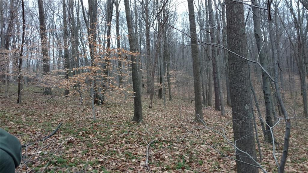 0 Firetower Road Ligonier, PA 15658 - Photo 7 of 12 Gallery Image 7