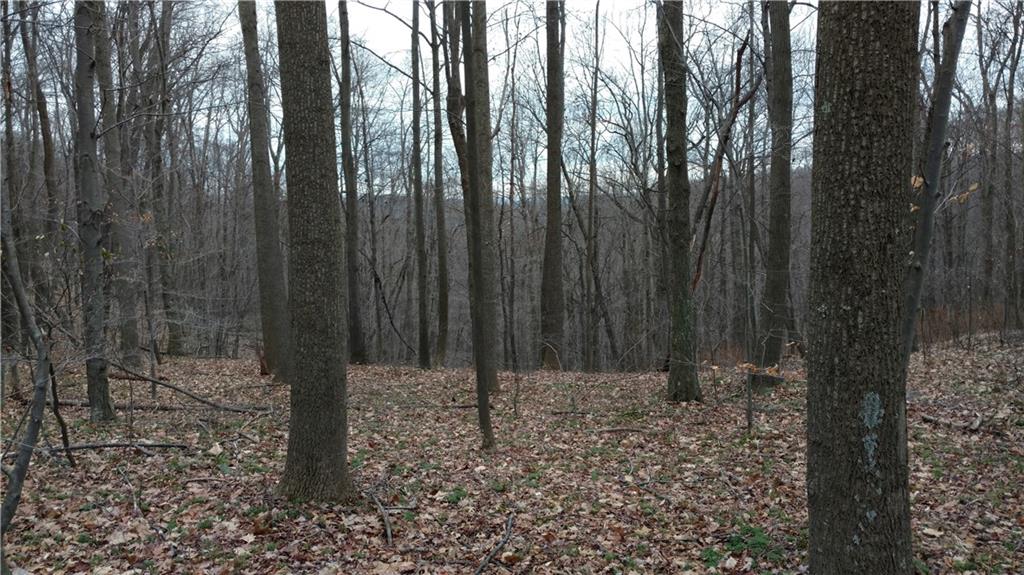 0 Firetower Road Ligonier, PA 15658 - Photo 9 of 12 Gallery Image 9