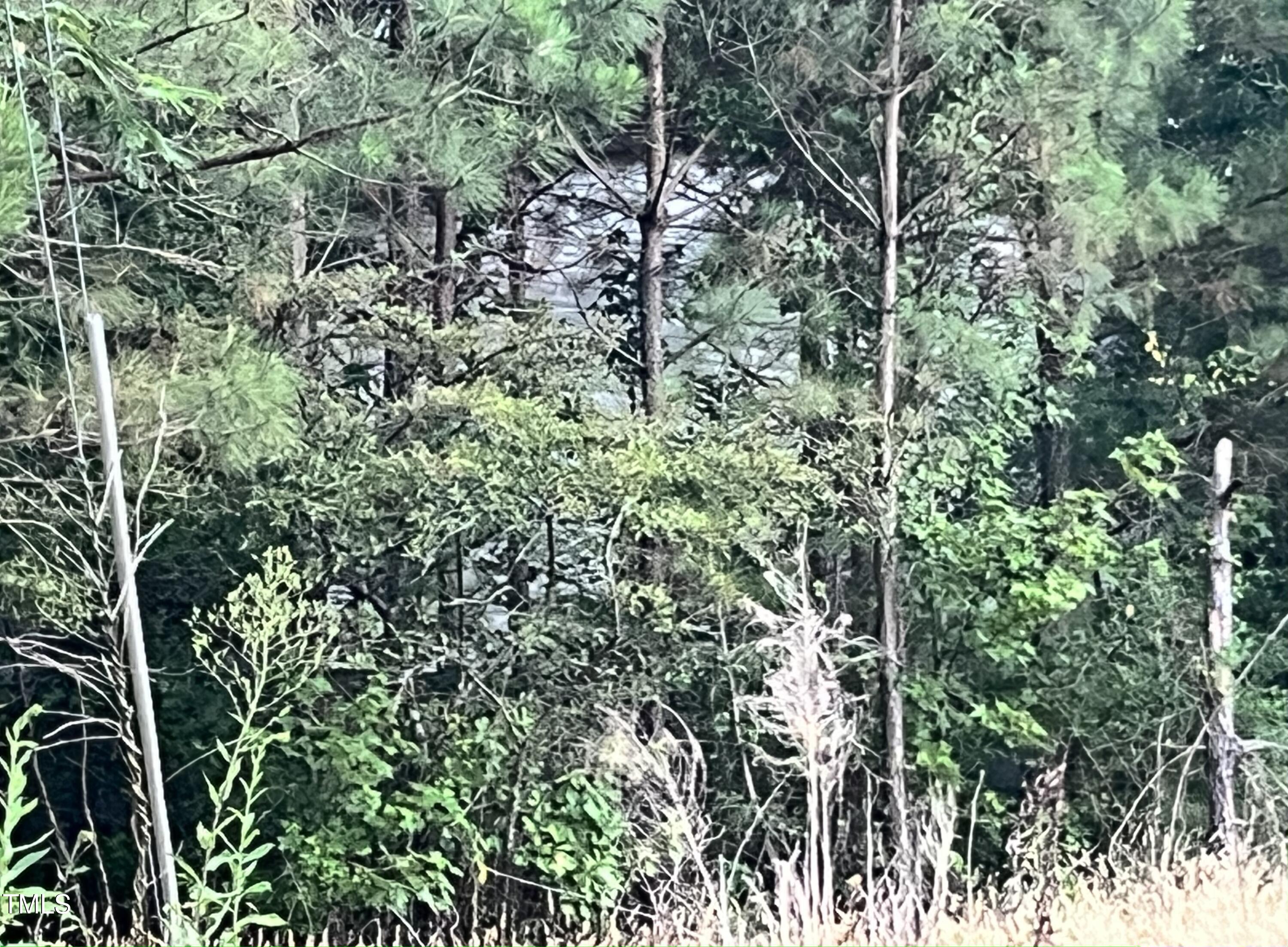 38 Thomas Arnold Road Zebulon, NC 27597 - Photo 2 of 5 IMG_2413