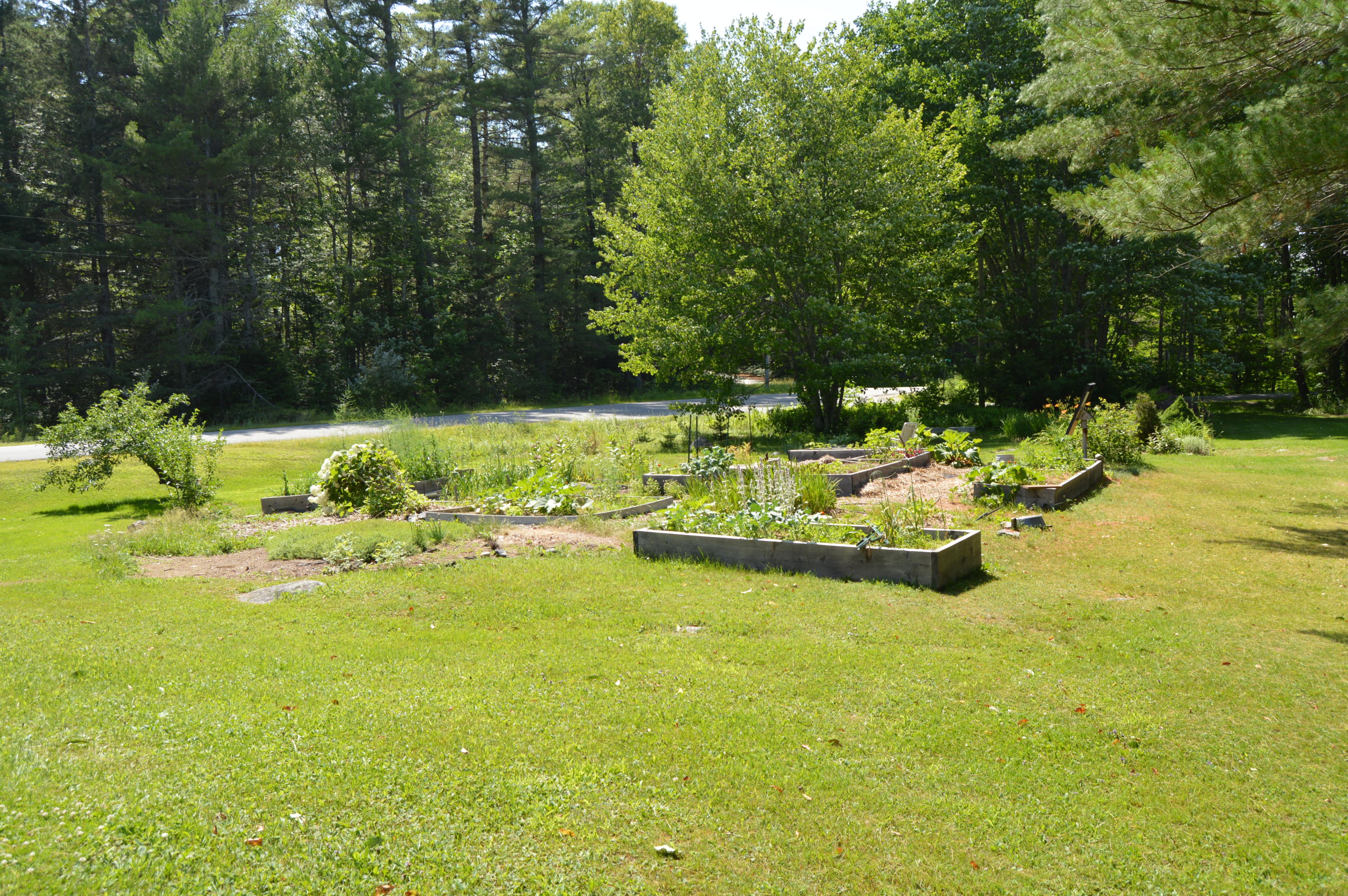431 Muskrat Farm Road Stockton Springs, ME 04981 - Photo 34 of 40 DSC_2138